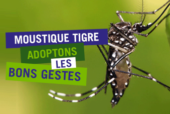 Projet Innovant Contre Le Moustique Tigre Centre Hospitalier Intercommunal Riberac Dronne Double Projet Innovant Contre Le Moustique Tigre Centre Hospitalier Intercommunal Riberac Dronne Double